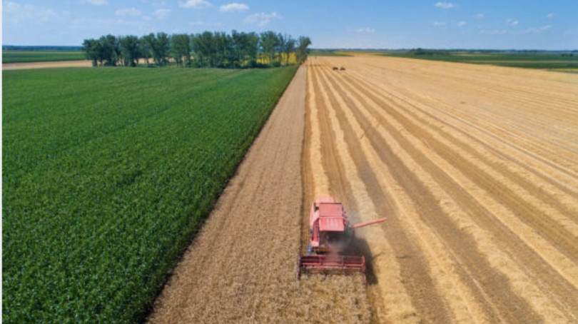 Giovani in agricoltura: aperto il bando 2021